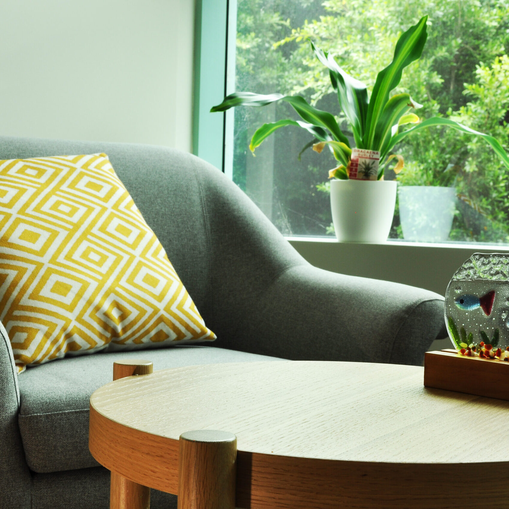 Experienced Psychologist Hills District Check availability